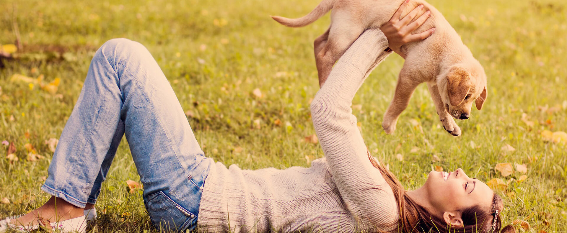 Pet Banner Image