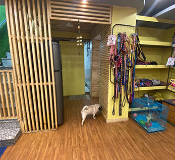 Image Here